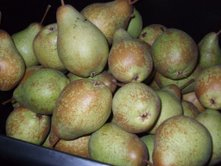pears8